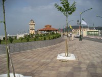 /album/photo-gallery-tlemcen/haut-plateau-lala-setti1-jpg/